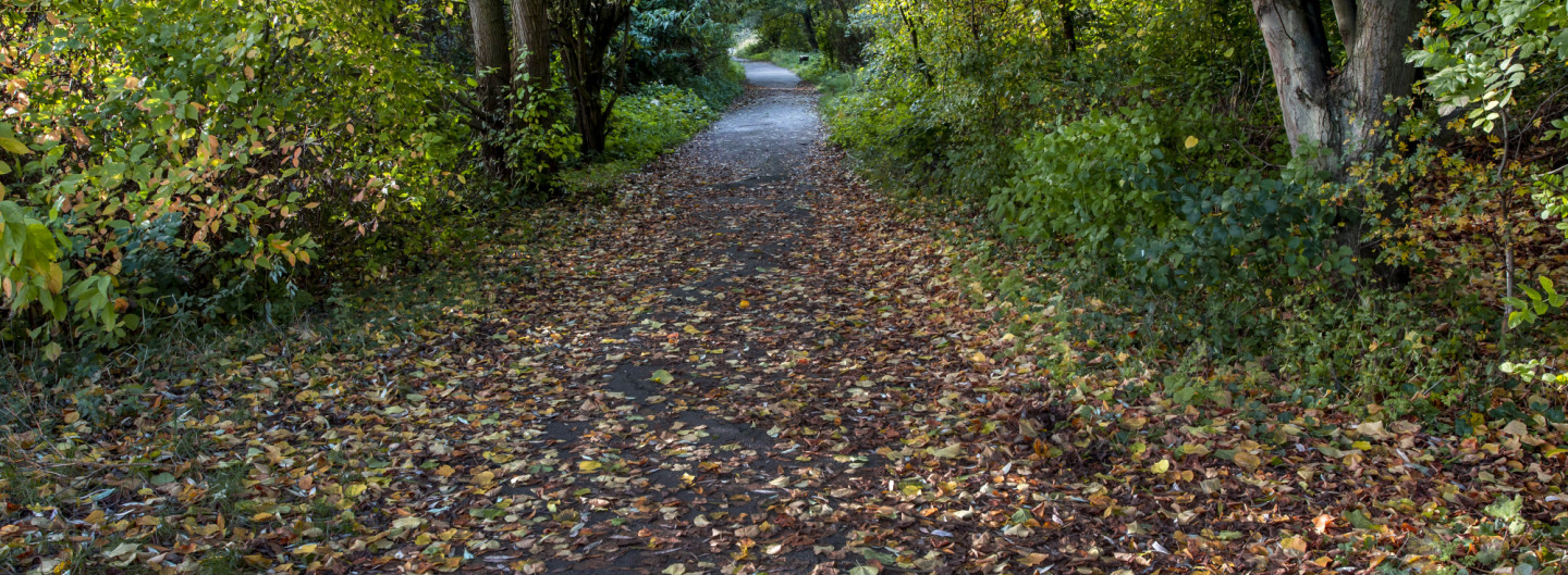 Autumn light at St Nicks 01 LJO_0503a