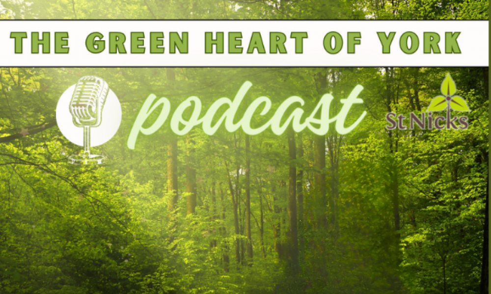 The green heart of york podcast title on  green forest background with a cartoon microphone and the st nicks logo with a white border to make it stand out