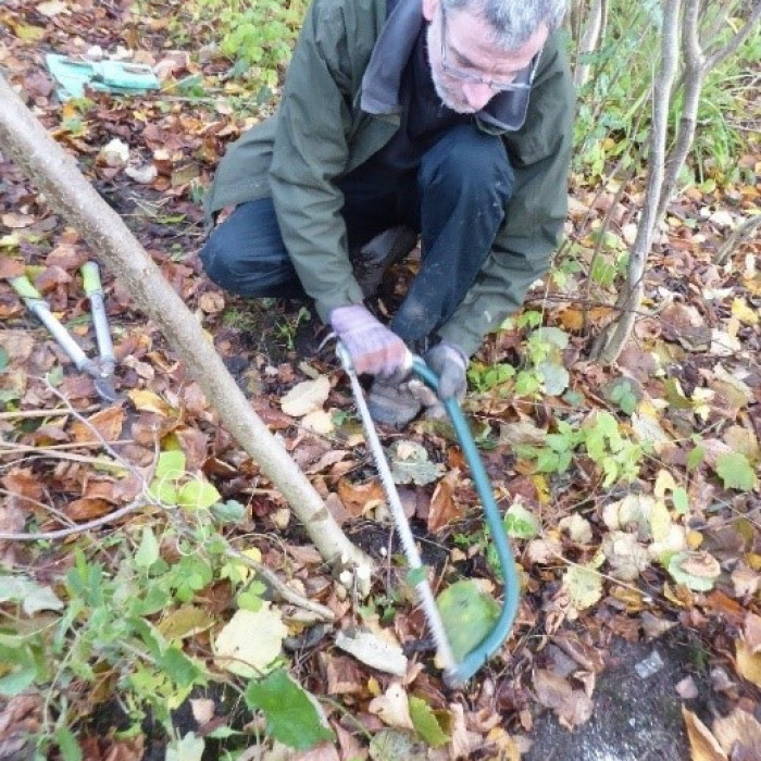 Sean is an older white male with white hair, beard and glasses. He is knelt on the floor. Wearing gloves he is holding a bow saw in two hands and cutting a branch low down.