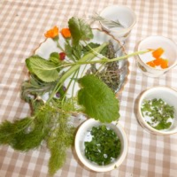 a brown checkered tablecloth with small ramekins and a large bowl there are various seeds and herbs in pieces in the bowls