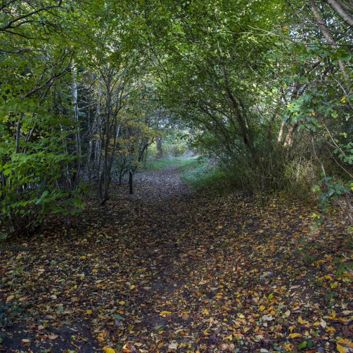 Autumn light at St Nicks 02 LJO_0479a