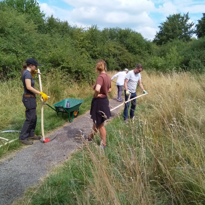 Bearing Fruit group participants are scything long grass on teh nature reserve in sunshine.