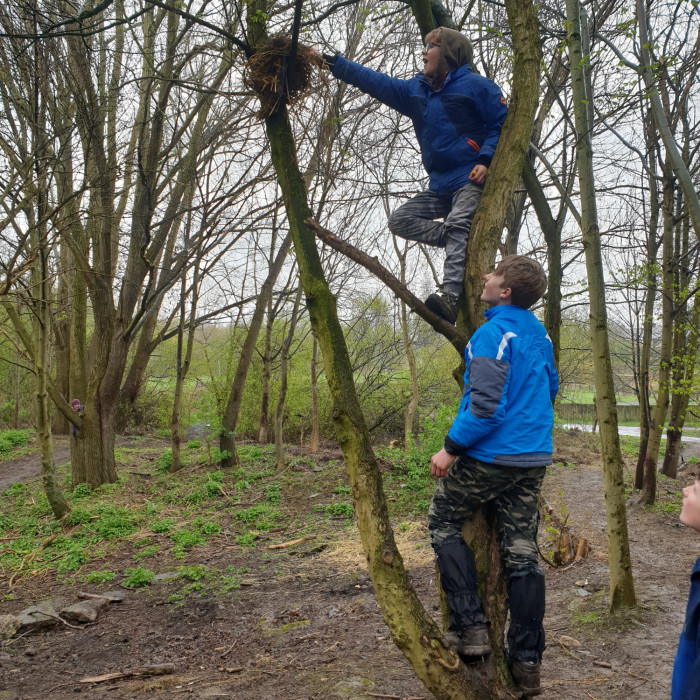 Two young people building a nest in a tree.