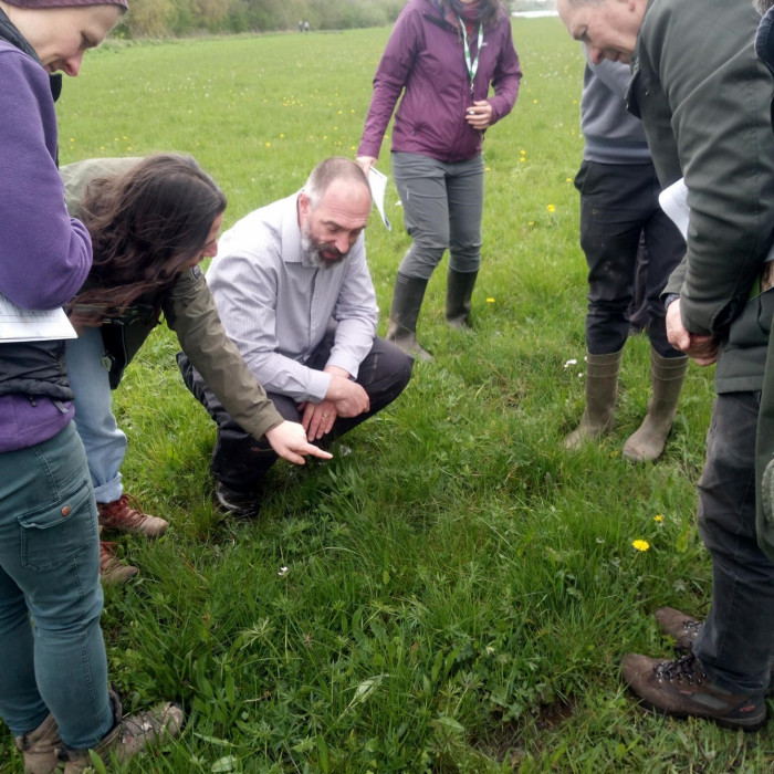 Group of people in a field looking at grass