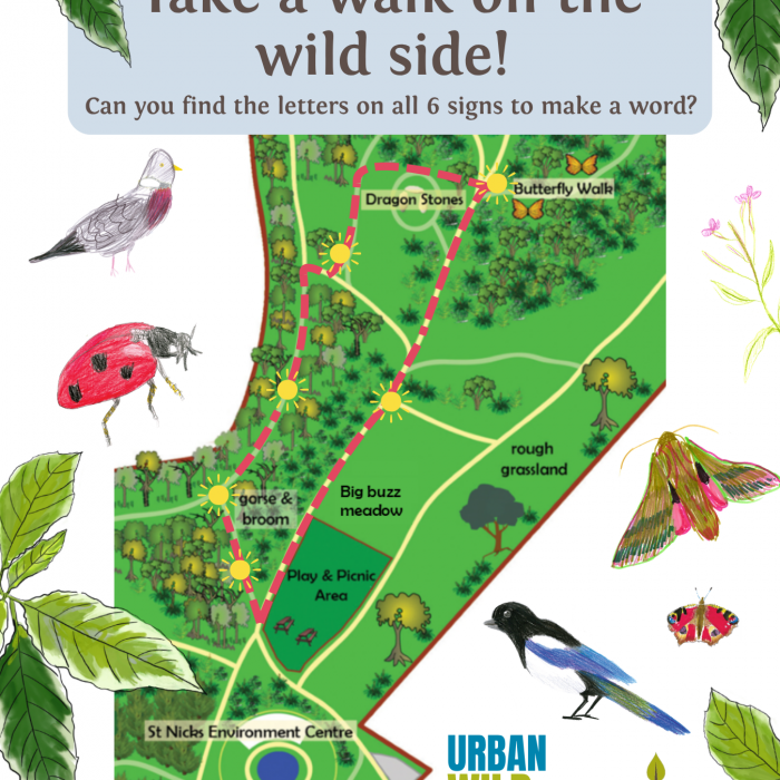 A map of St Nicks showing the rough locations of 6 new information boards. On each board is a letter that create an anagram to solve. There are childrens drawings of birds, insects and plants around the map. As well as the Urban Wild Youth Group logo, St 