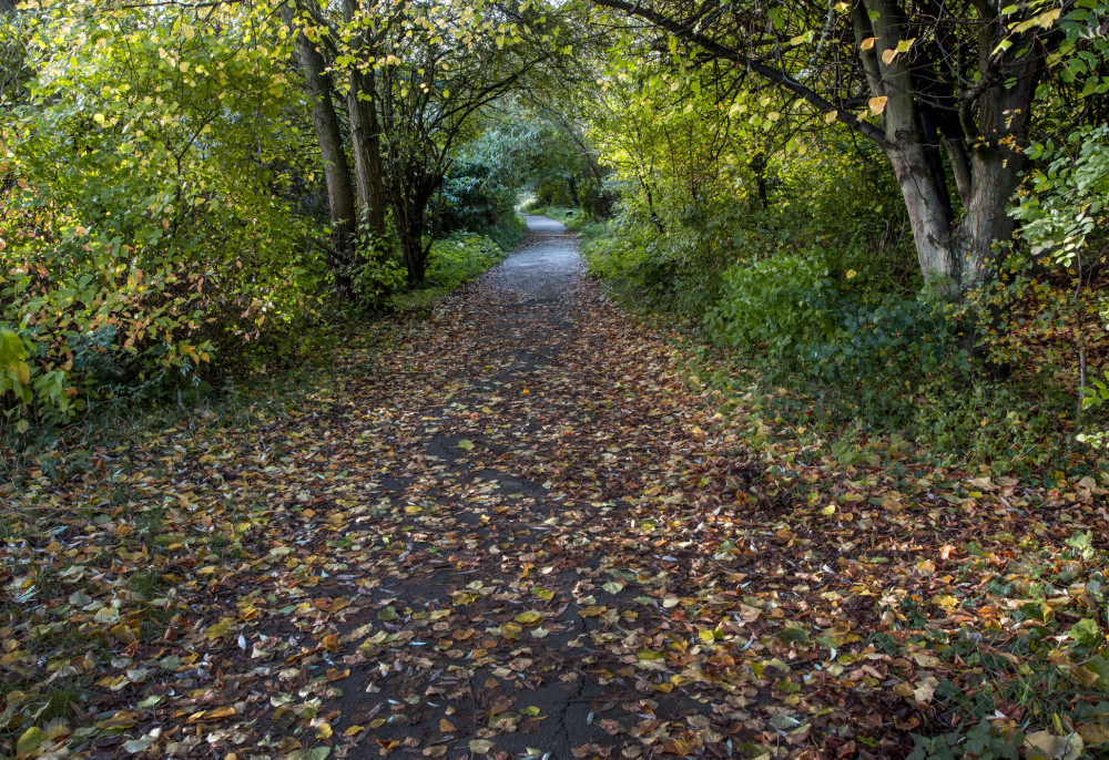 Autumn path photo