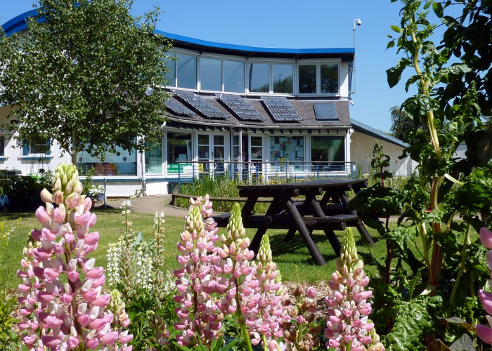 Environment centre and pond with lupin flowers