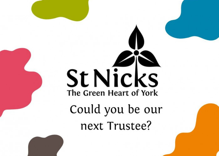 stnicks-trustee