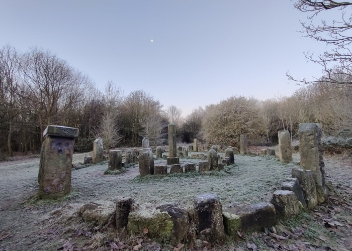 dragon stones in the frost -sally millington