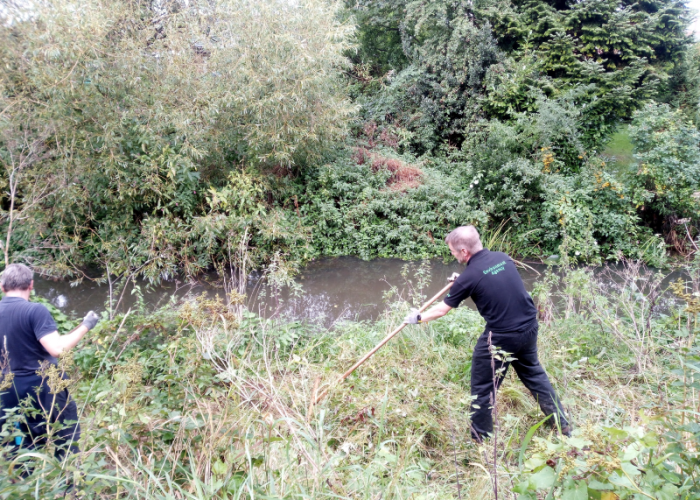 Scything Foss riverbank