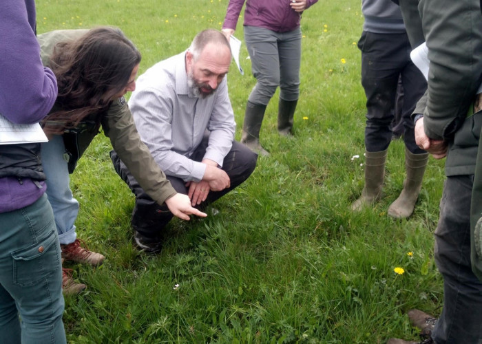 Group of people in a field looking at grass