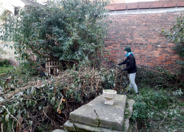 Maeve and the Dead Hedge Holy Trinity