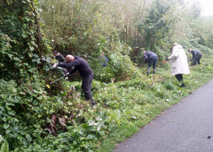 Scrub clearance on route 66 cycle path