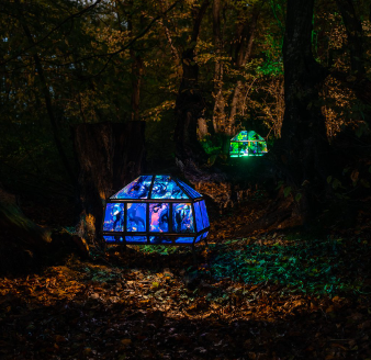 Green and blue glowing boxes in dark woodland