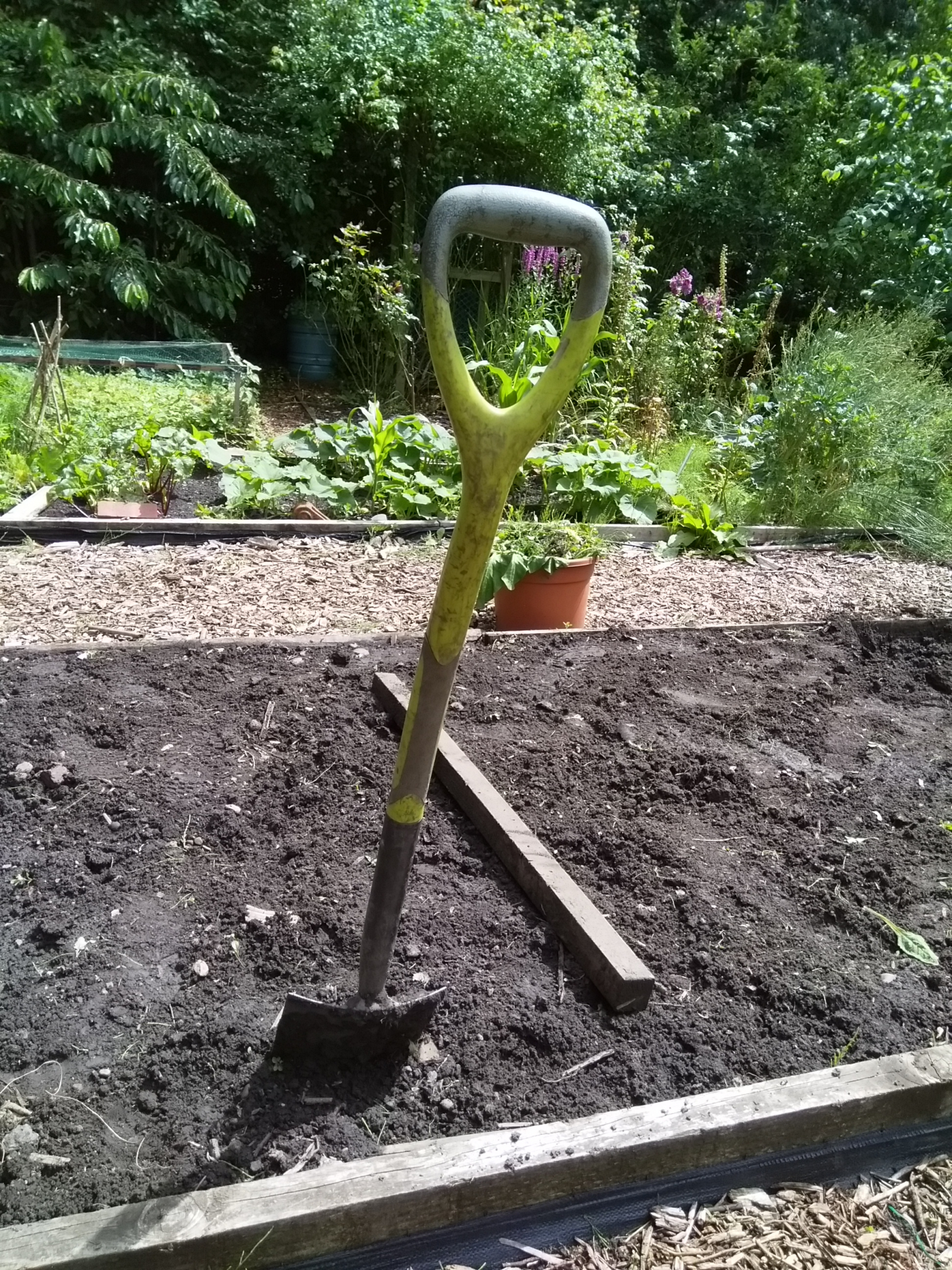 Soil Post 2