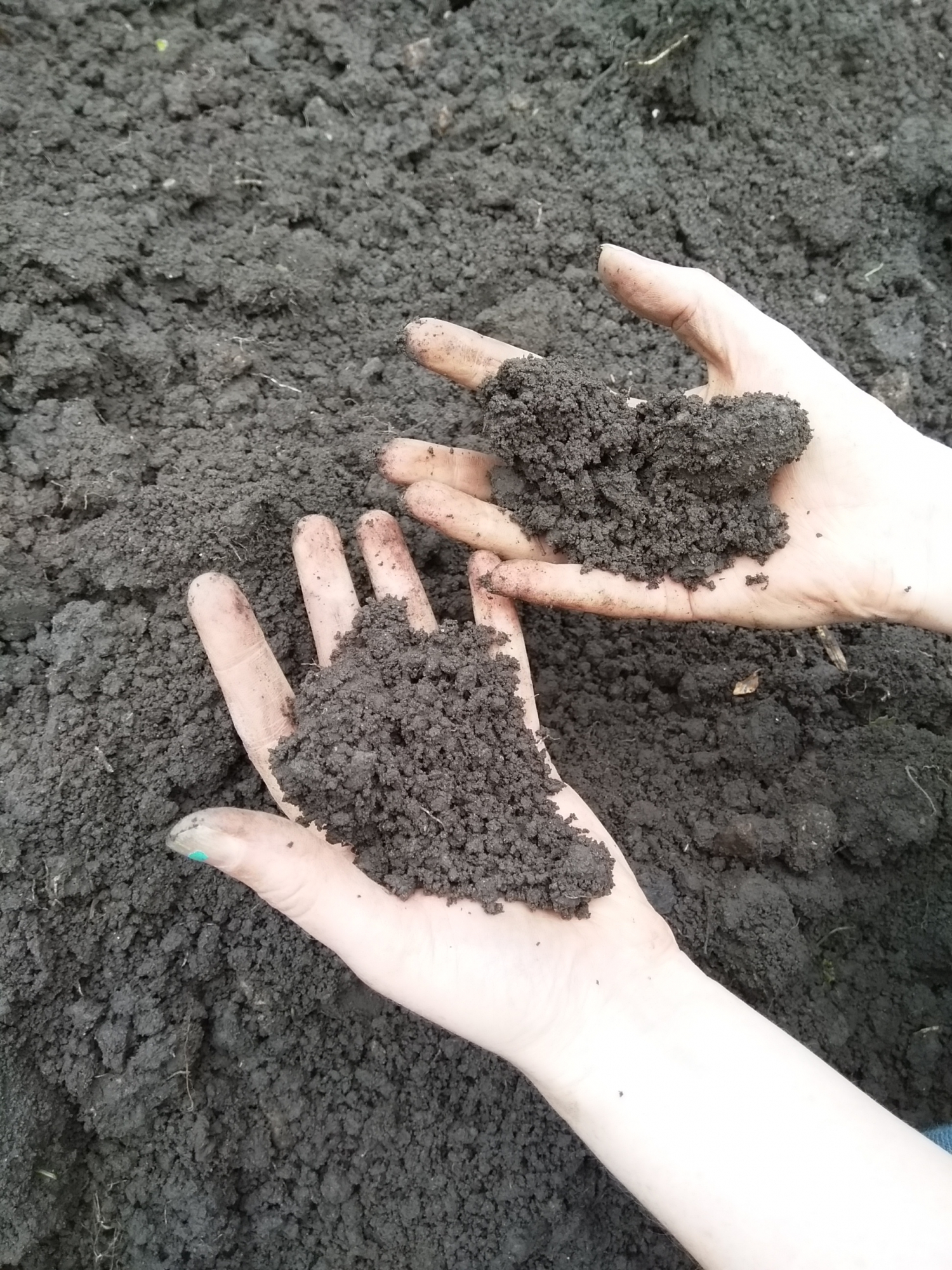 Soil Post 1