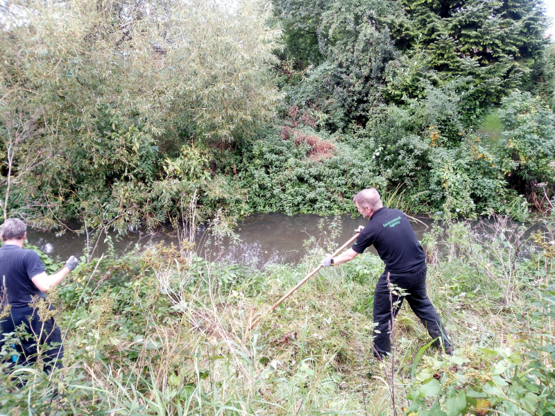 Scything Foss riverbank