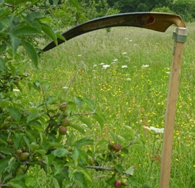 Scythe orchard