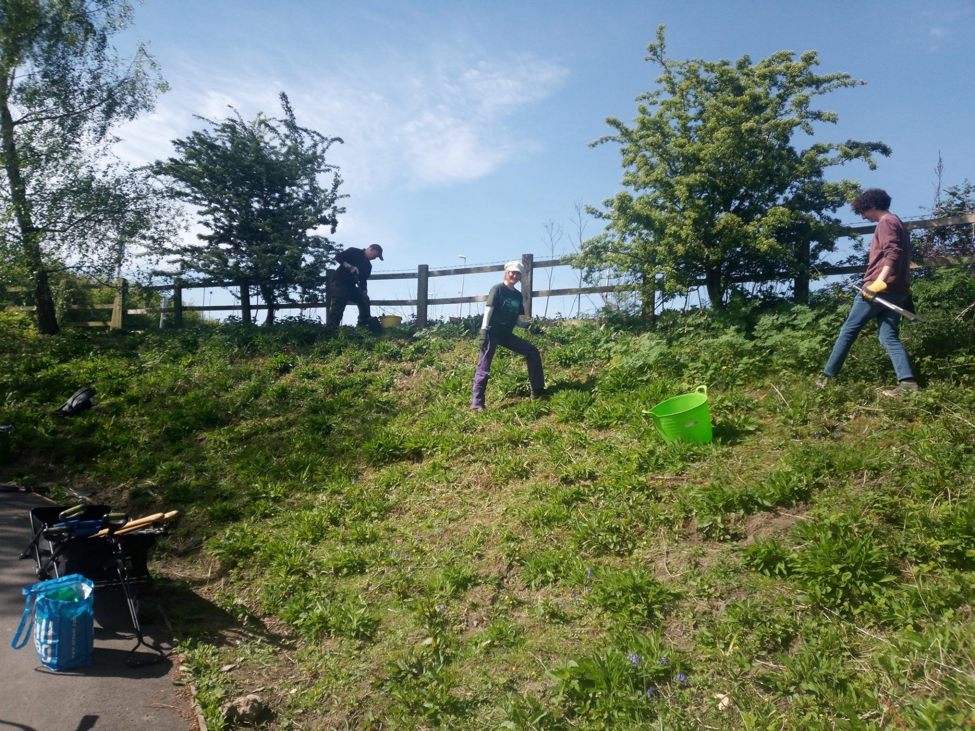 Solar System Greenway Wildflower Bank
