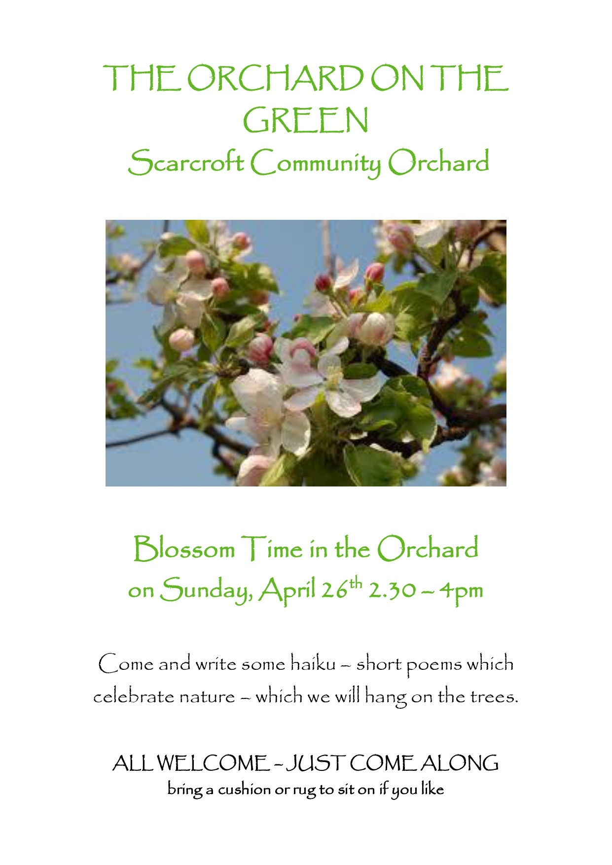 Scarcroft Orchard in Blossom