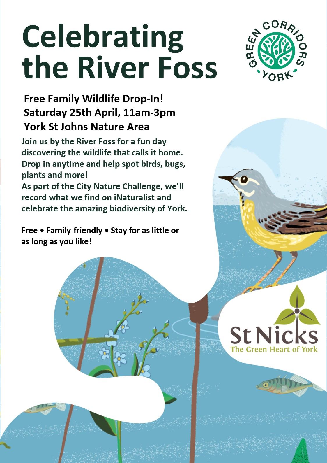 Promo poster for an event celebrating the River Foss in York hosted by Green Corridors York at St Nicks, includes all location, date and time details and an illustration of a grey and yellow bird on the water