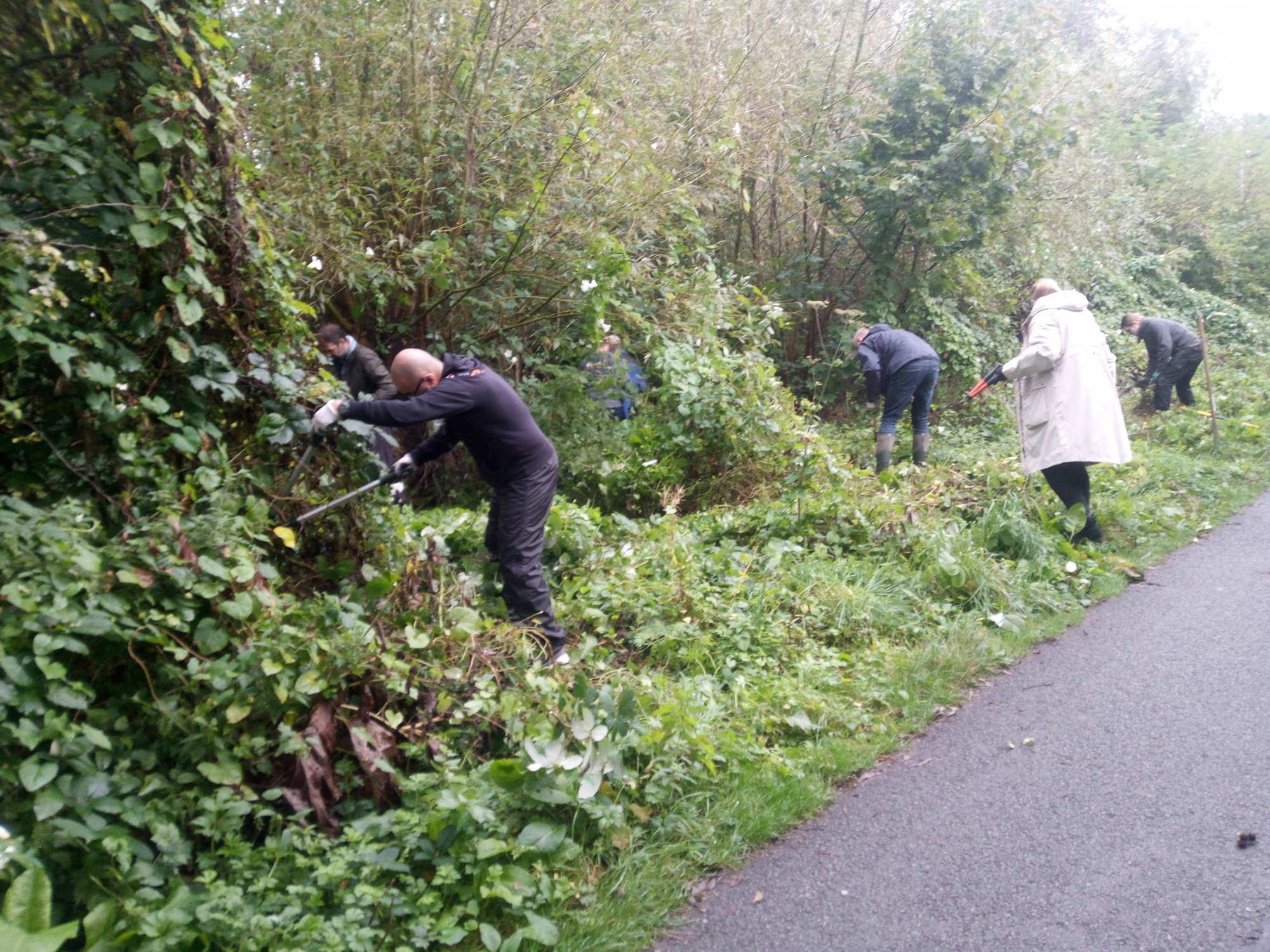 Scrub clearance on route 66 cycle path